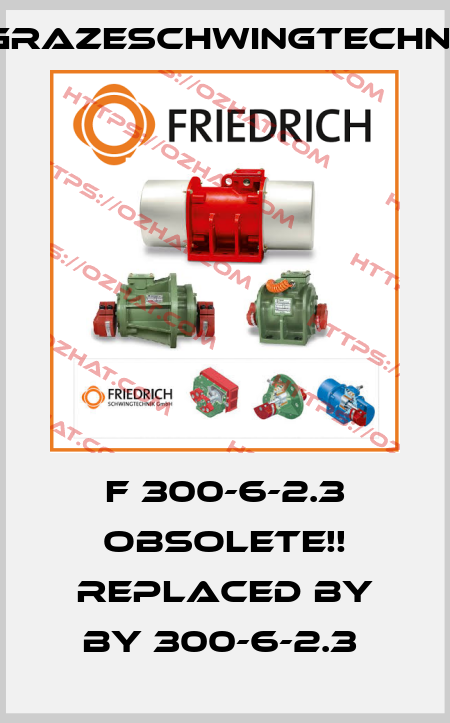 F 300-6-2.3 Obsolete!! Replaced by BY 300-6-2.3  GrazeSchwingtechnik