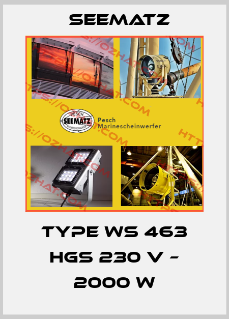 Type WS 463 HGS 230 V – 2000 W Seematz