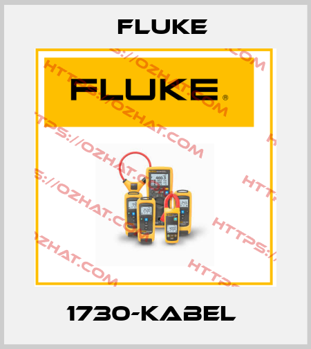 1730-Kabel  Fluke