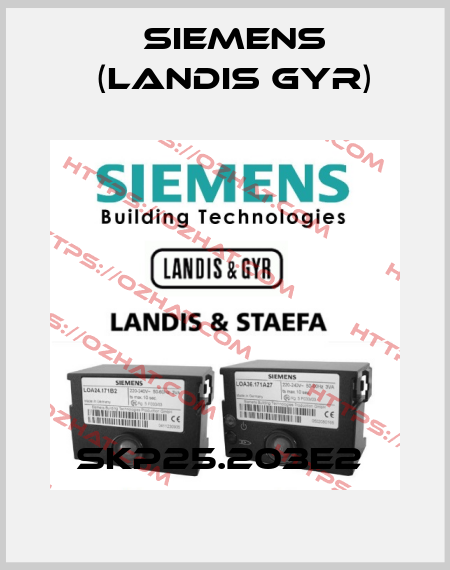 SKP25.203E2  Siemens (Landis Gyr)