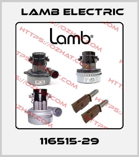 116515-29 Lamb Electric