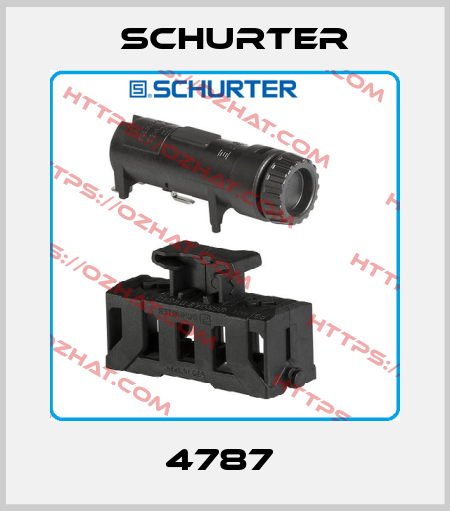 4787  Schurter