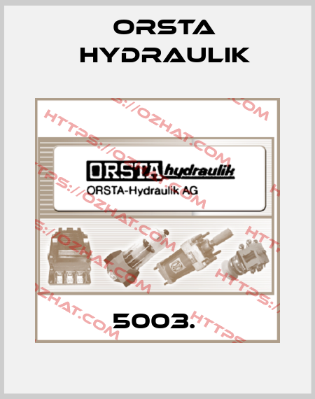 5003.  Orsta Hydraulik