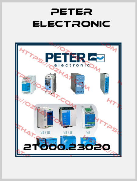 2T000.23020  Peter Electronic