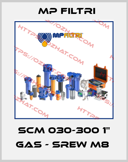 SCM 030-300 1" GAS - SREW M8  MP Filtri