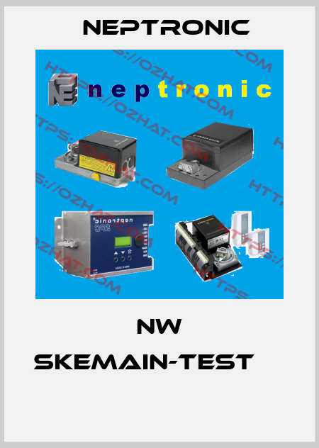 NW SKEMAIN-TEST		  Neptronic