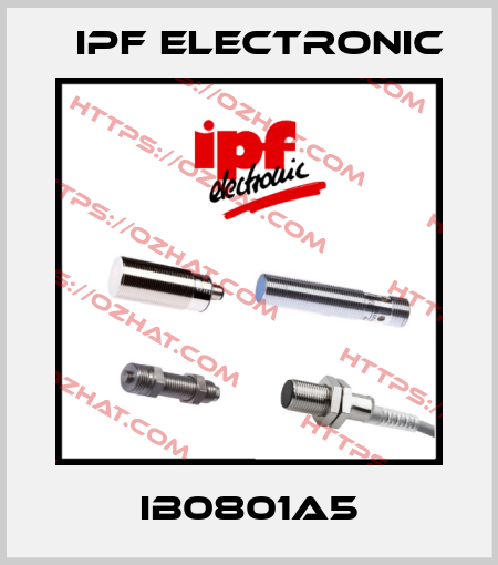 IB0801A5 IPF Electronic