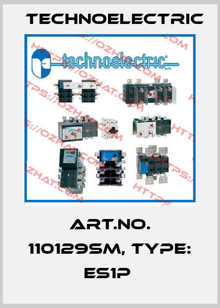 Art.No. 110129SM, Type: ES1P  Technoelectric