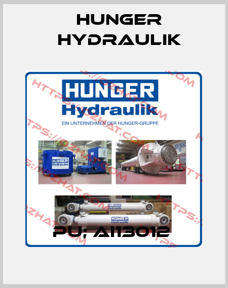 PU; AI13012  HUNGER Hydraulik