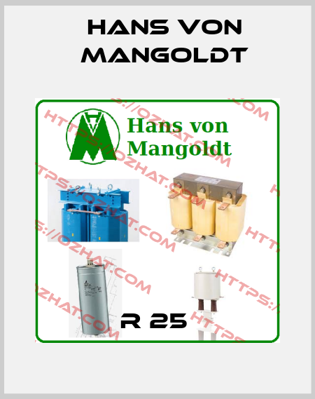 R 25  Hans von Mangoldt