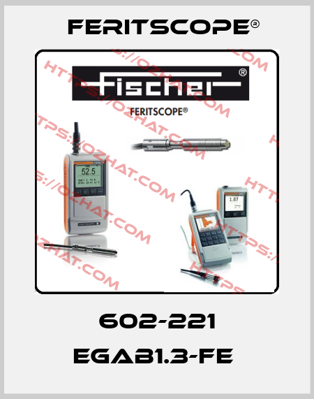 602-221 EGAB1.3-FE  Feritscope®