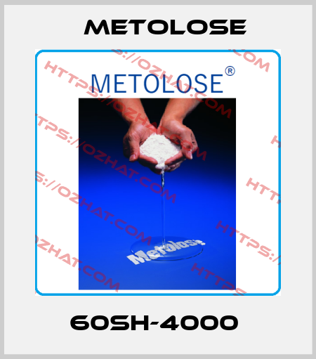 60SH-4000  Metolose