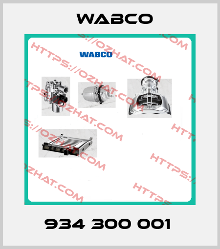 934 300 001  Wabco