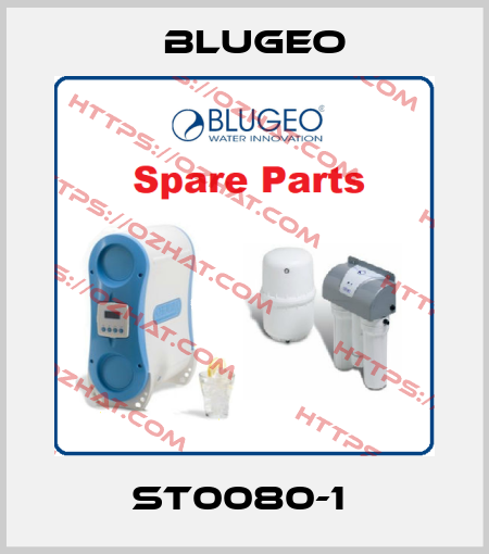 ST0080-1  Blugeo
