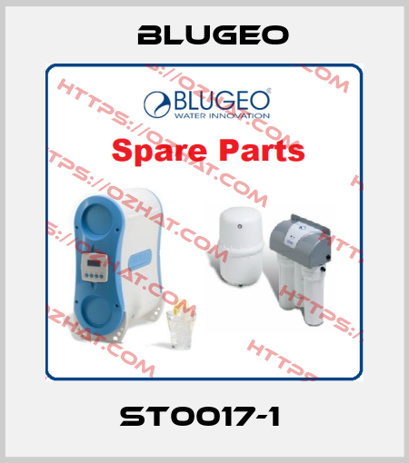 ST0017-1  Blugeo