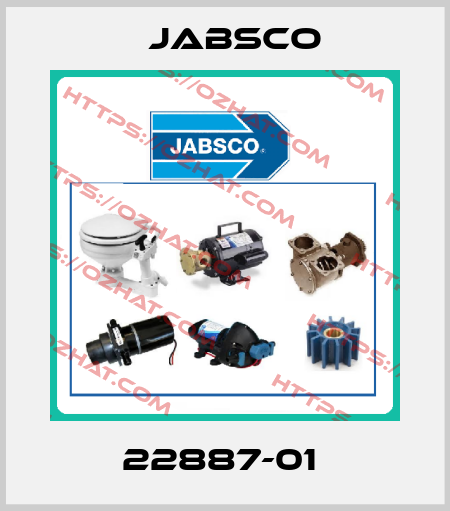 22887-01  Jabsco