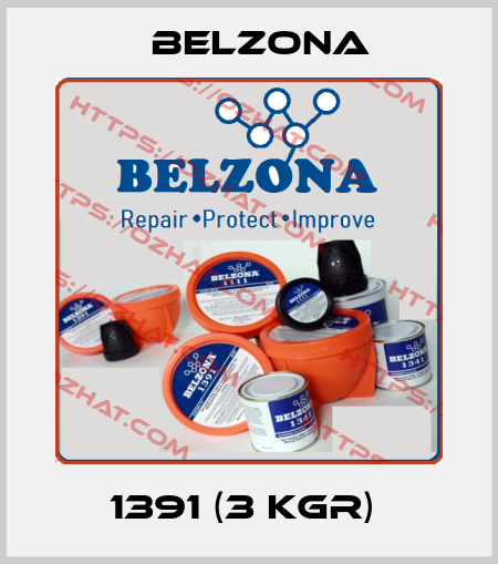 1391 (3 KGR)  Belzona