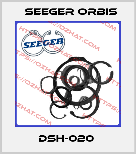 DSH-020  Seeger Orbis