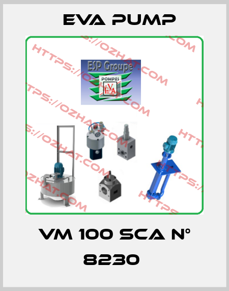 VM 100 SCA N° 8230  Eva pump