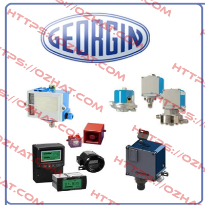 0FP54BQSX0300 REF. FP54QX Georgin