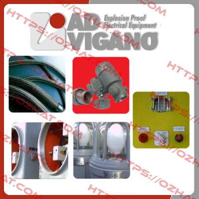  EJB2-X INOX  A.D. VIGANO