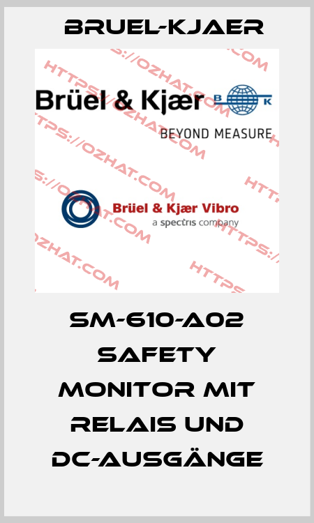 SM-610-A02 Safety Monitor mit Relais und DC-Ausgänge Bruel-Kjaer