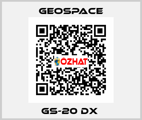 GS-20 DX  GeoSpace