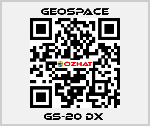 GS-20 DX  GeoSpace