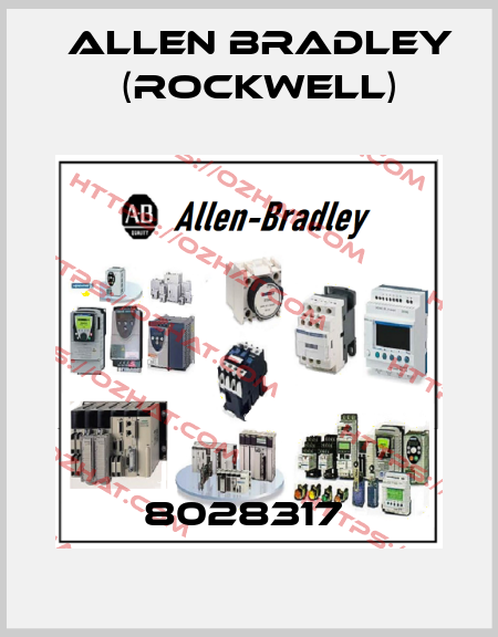 8028317  Allen Bradley (Rockwell)