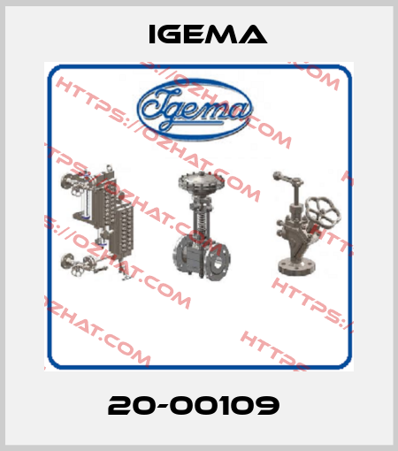 20-00109  Igema