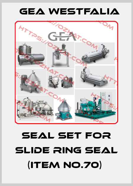 Seal Set For Slide Ring Seal (Item No.70)  Gea Westfalia