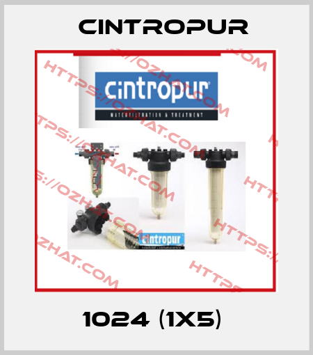 1024 (1x5)  Cintropur