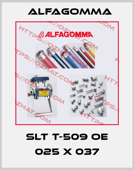 SLT T-509 OE 025 X 037 Alfagomma