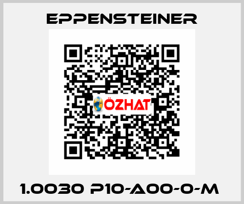 1.0030 P10-A00-0-M  Eppensteiner