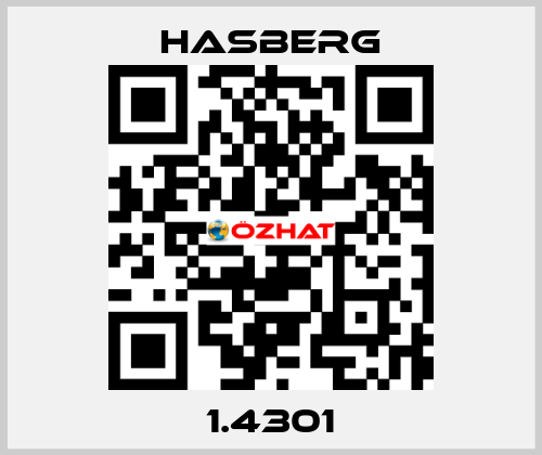 1.4301 Hasberg