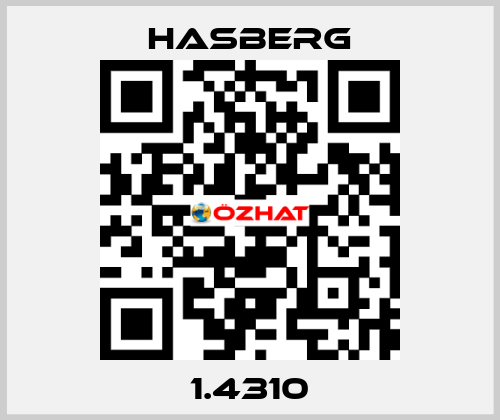 1.4310 Hasberg