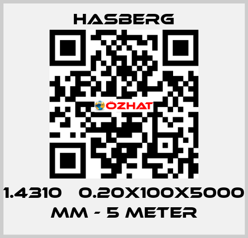 1.4310   0.20X100X5000 MM - 5 METER Hasberg
