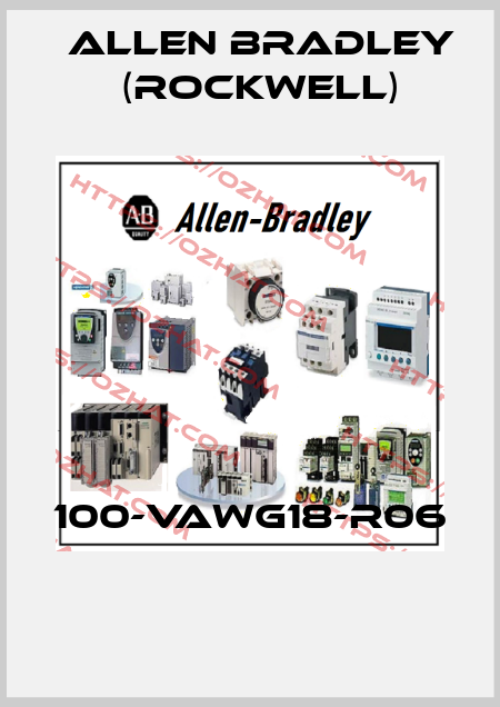 100-VAWG18-R06  Allen Bradley (Rockwell)