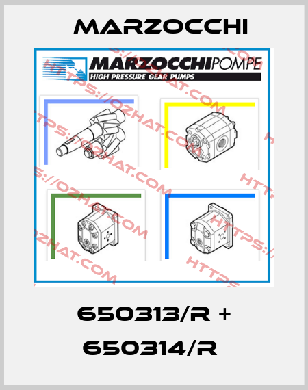 650313/R + 650314/R  Marzocchi
