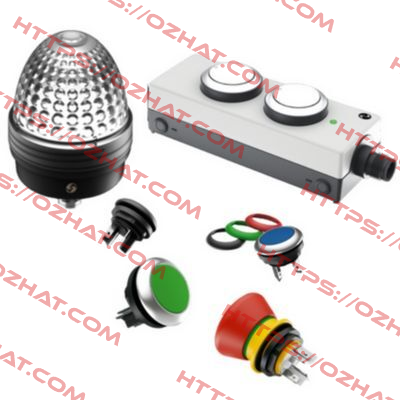 1.69507 WHITE / CLEAR, 24V, 10MM DIAMETER Rafi