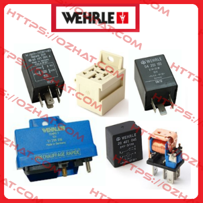 10 700 005 *  quantity 1000 STK  WEHRLE