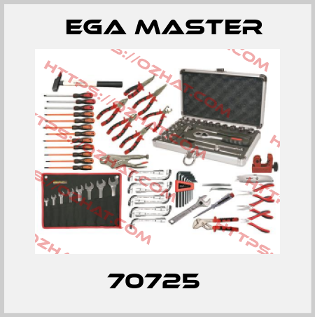 70725  EGA Master