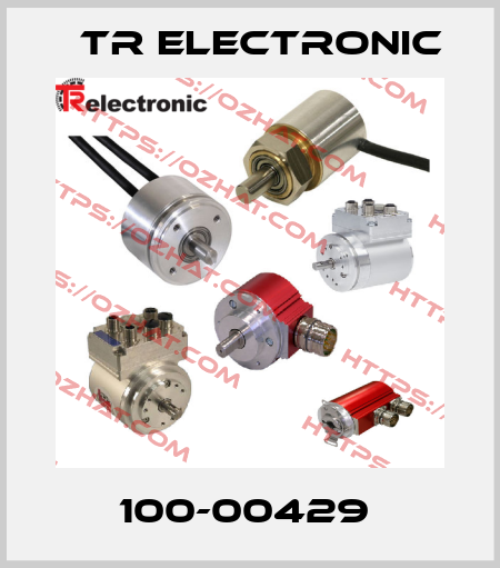 100-00429  TR Electronic