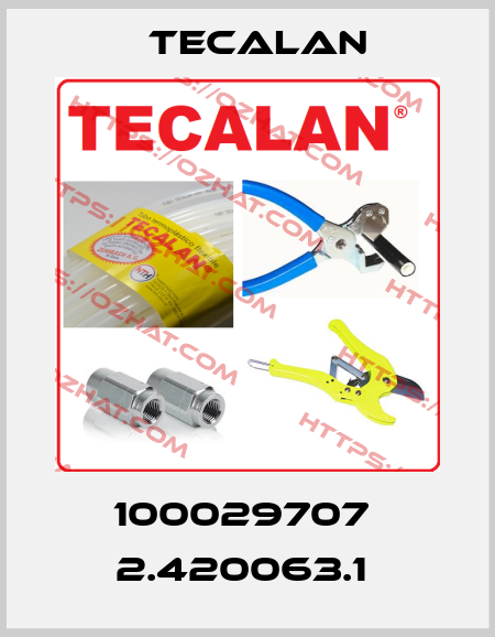 100029707  2.420063.1  Tecalan