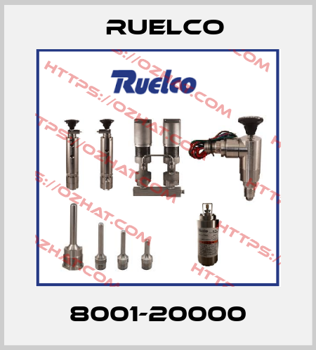 8001-20000 Ruelco