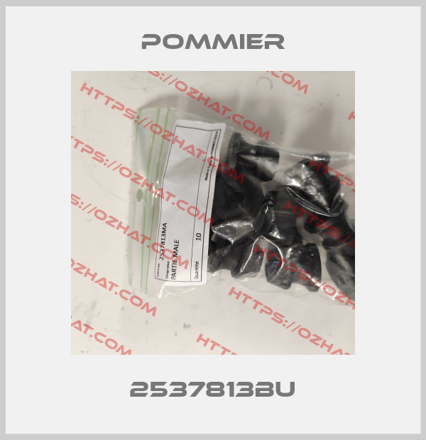 2537813BU Pommier