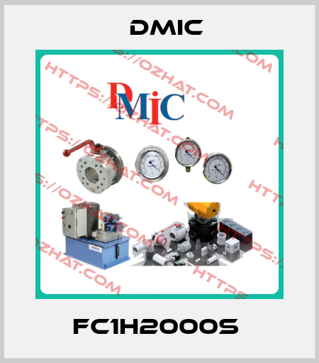 FC1H2000S  DMIC