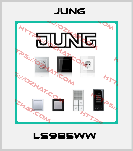 LS985WW  Jung