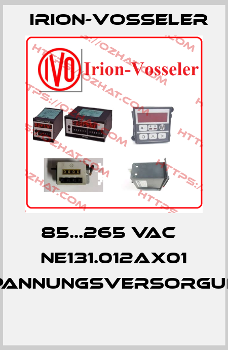 85...265 VAC   NE131.012AX01 SPANNUNGSVERSORGUNG  Irion-Vosseler