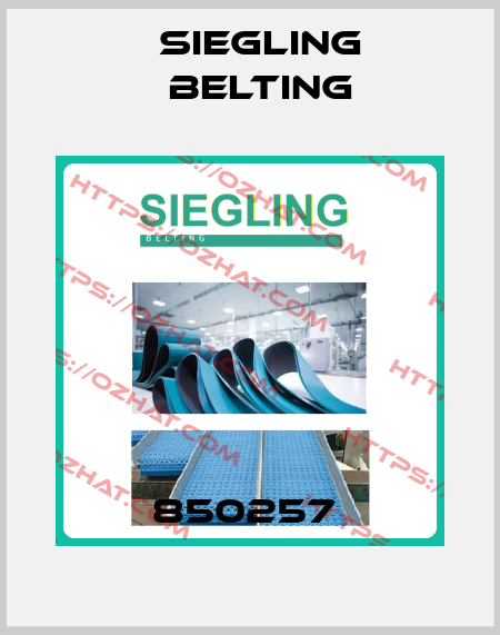 850257  Siegling Belting